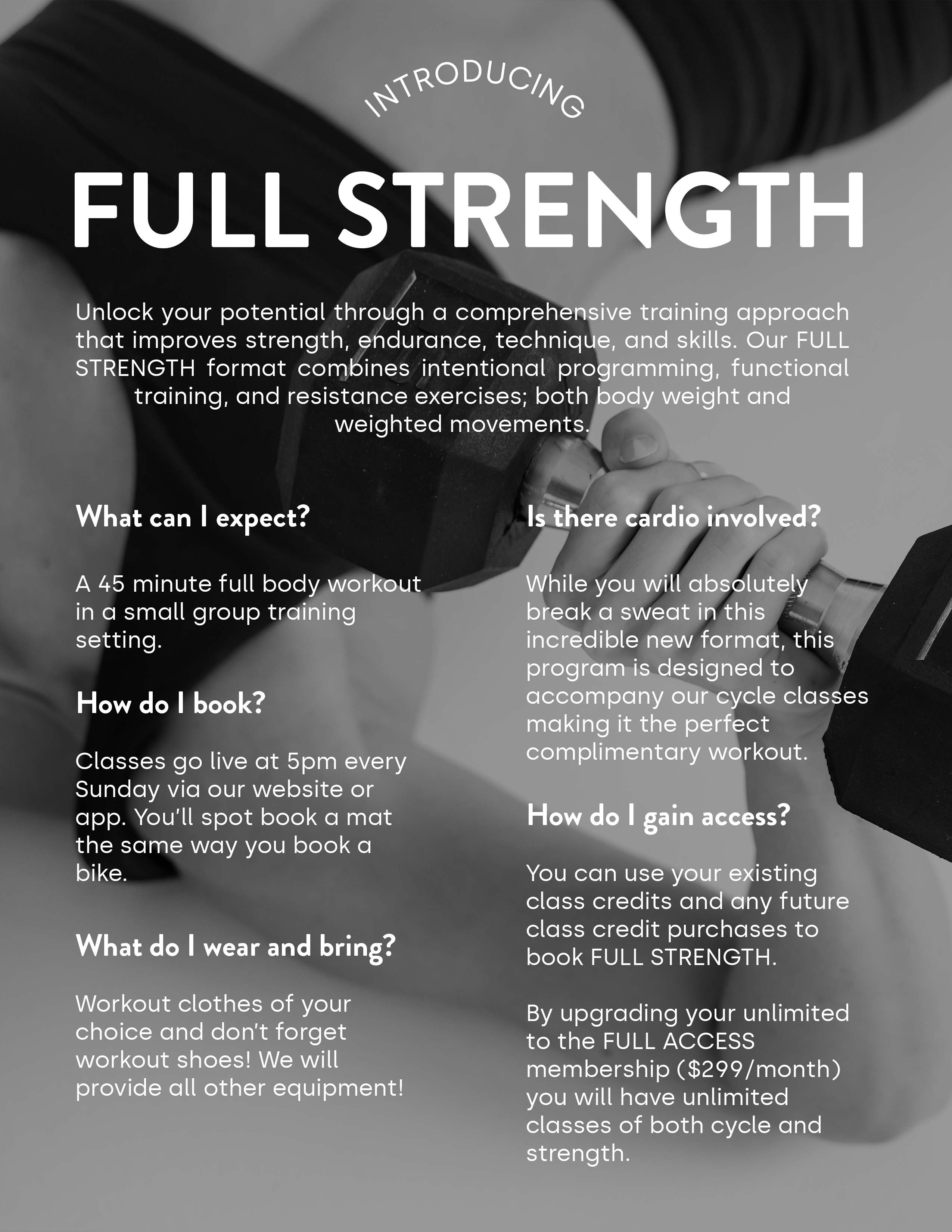 Full Strength one sheet