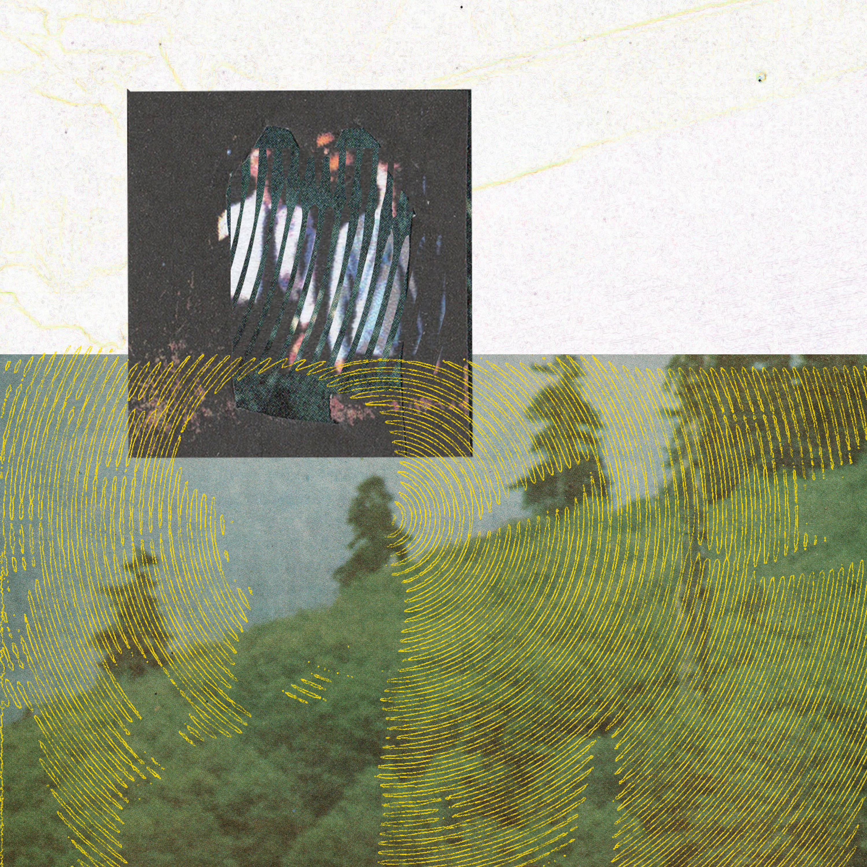 Hillcountry cover art